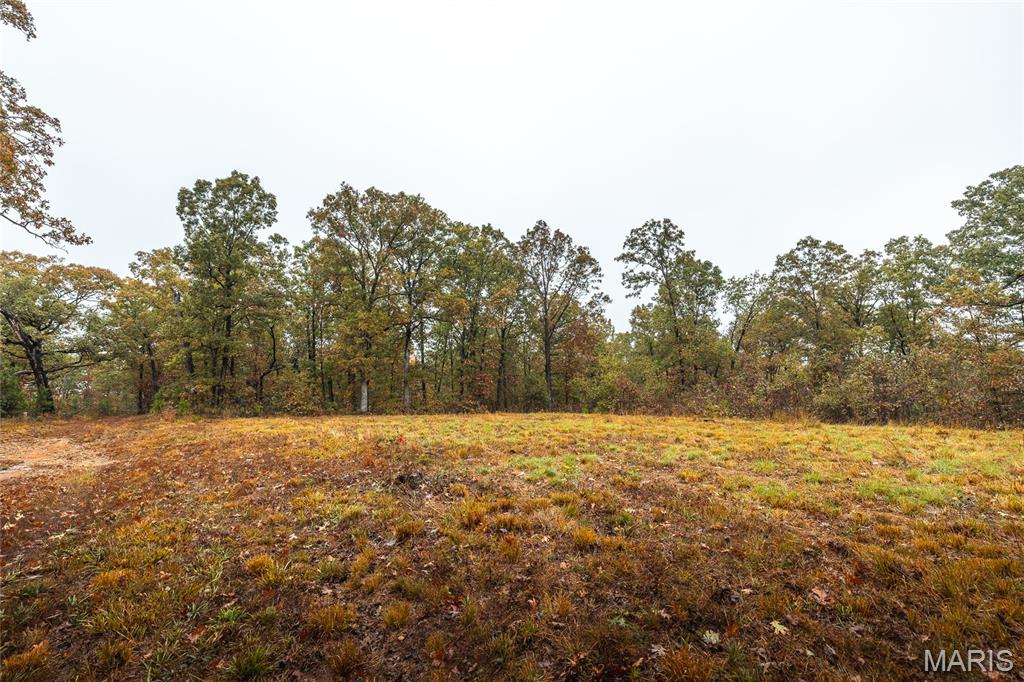 0 Lodge Tract 3a Road Property Photo 16