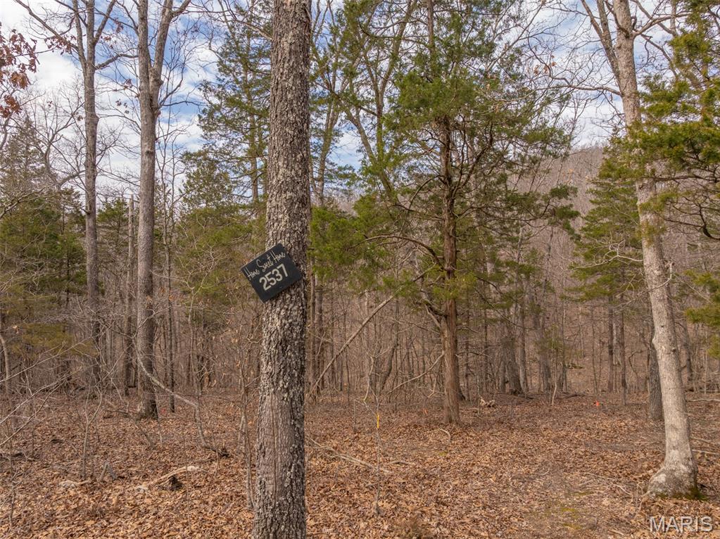 2537 Alpine Woods Drive Property Photo 1