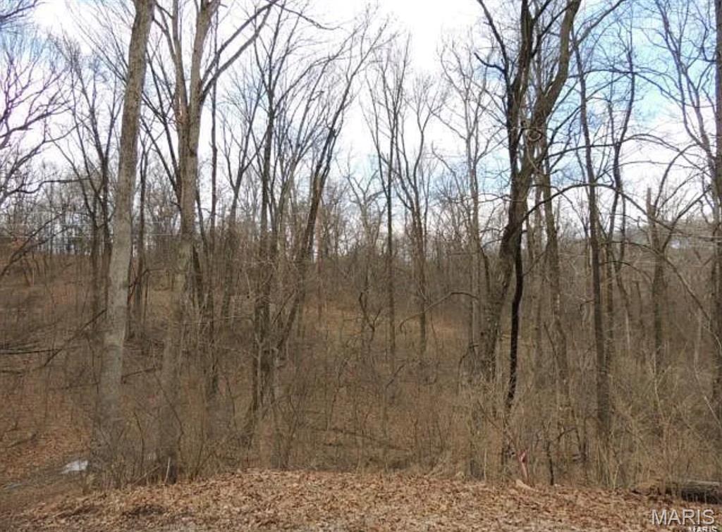 1001 Chesterfield Forest Drive Property Photo 1