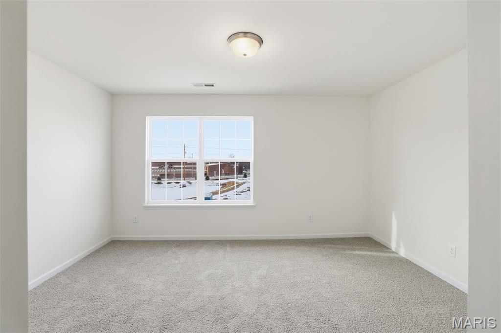 447 Klenke Valley Drive Property Photo 22
