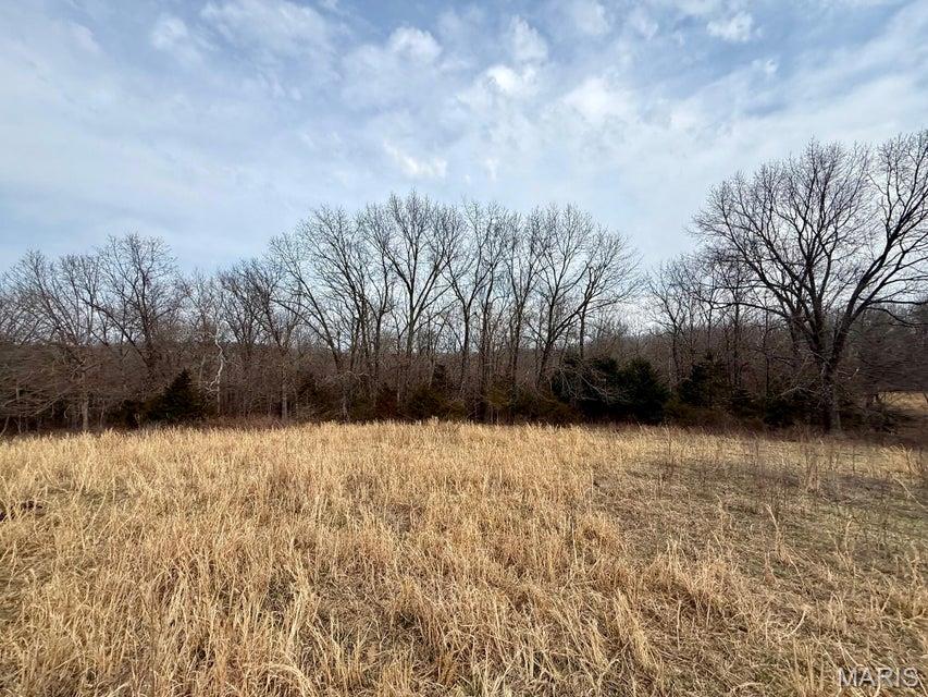 000 Hwy M Tract F Property Photo 4