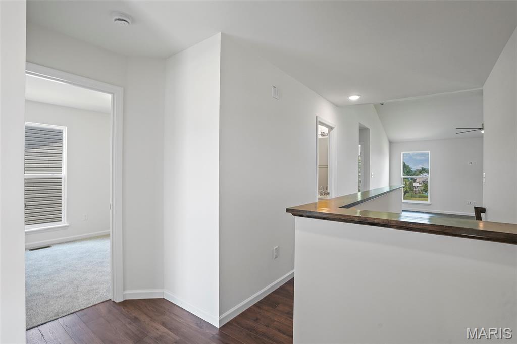 4573 Bella Terra Drive Property Photo 20