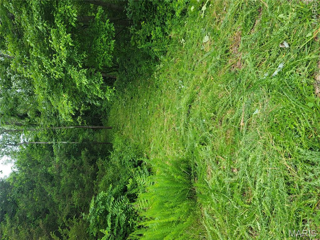 436 Lower Hollow Lane Property Photo 1