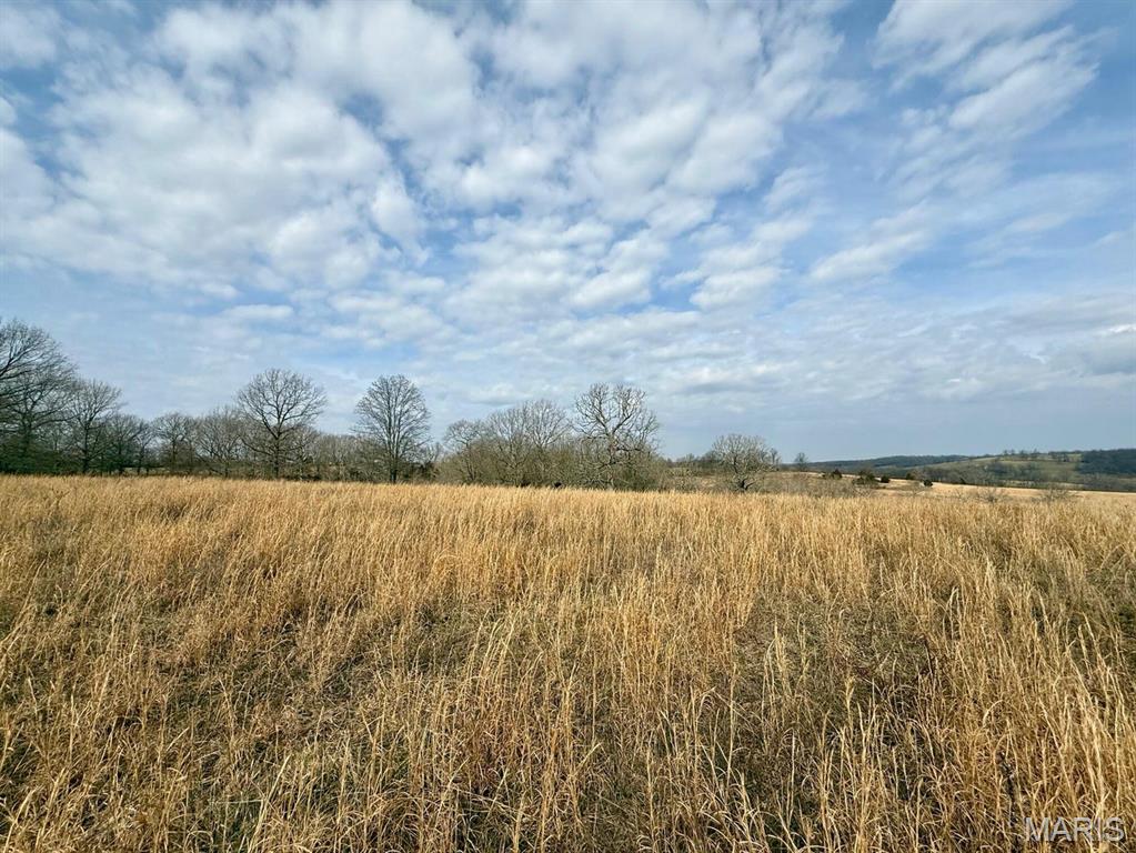 000 Barnum Drive Tract 1 Property Photo 3