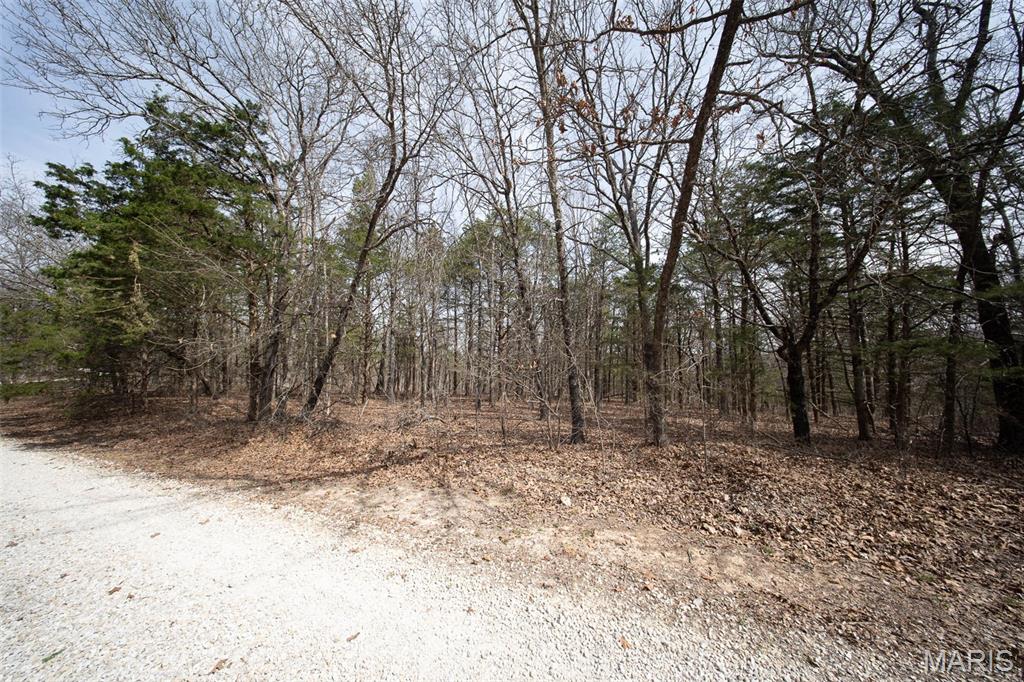 0 State Route Hh Property Photo 31