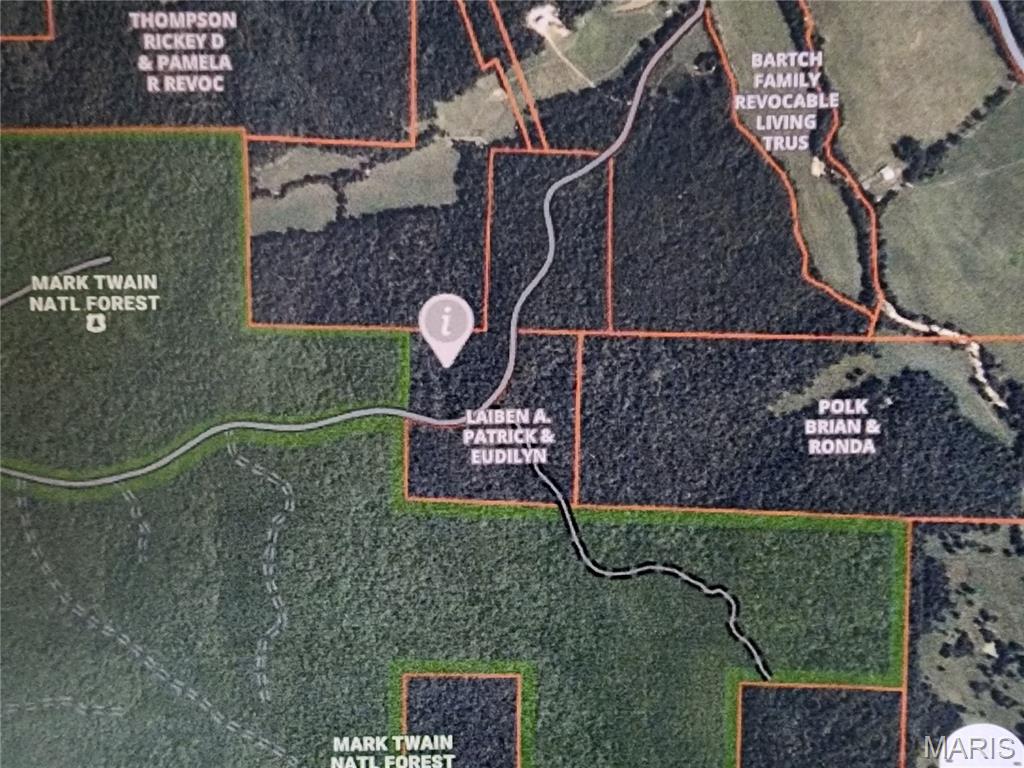 0 Wayne County Road 434 Property Photo 1