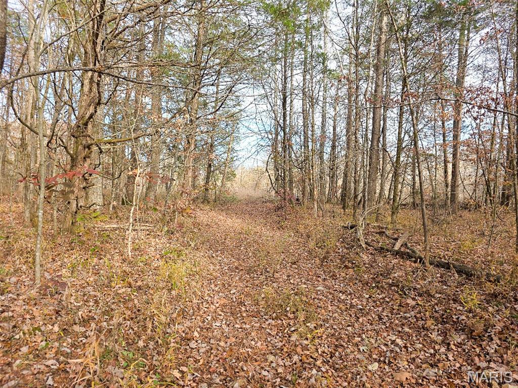 Off Madison 416 Property Photo 13