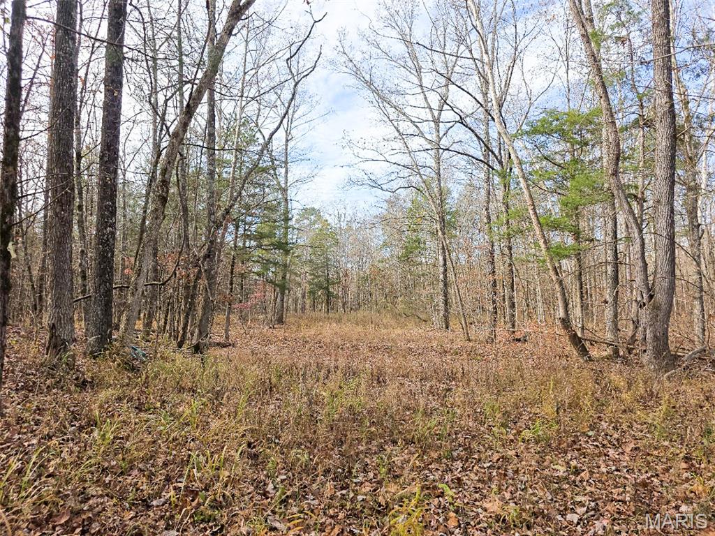 Off Madison 416 Property Photo 14