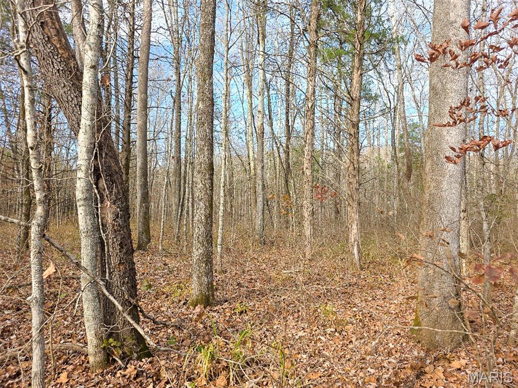 Off Madison 416 Property Photo 15