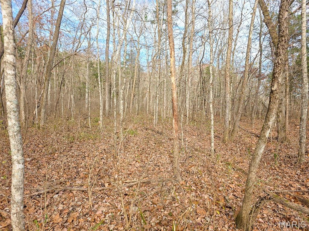 Off Madison 416 Property Photo 16