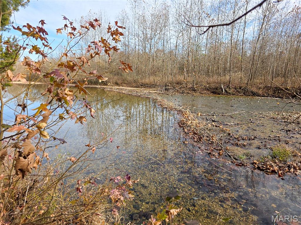 Off Madison 416 Property Photo 17