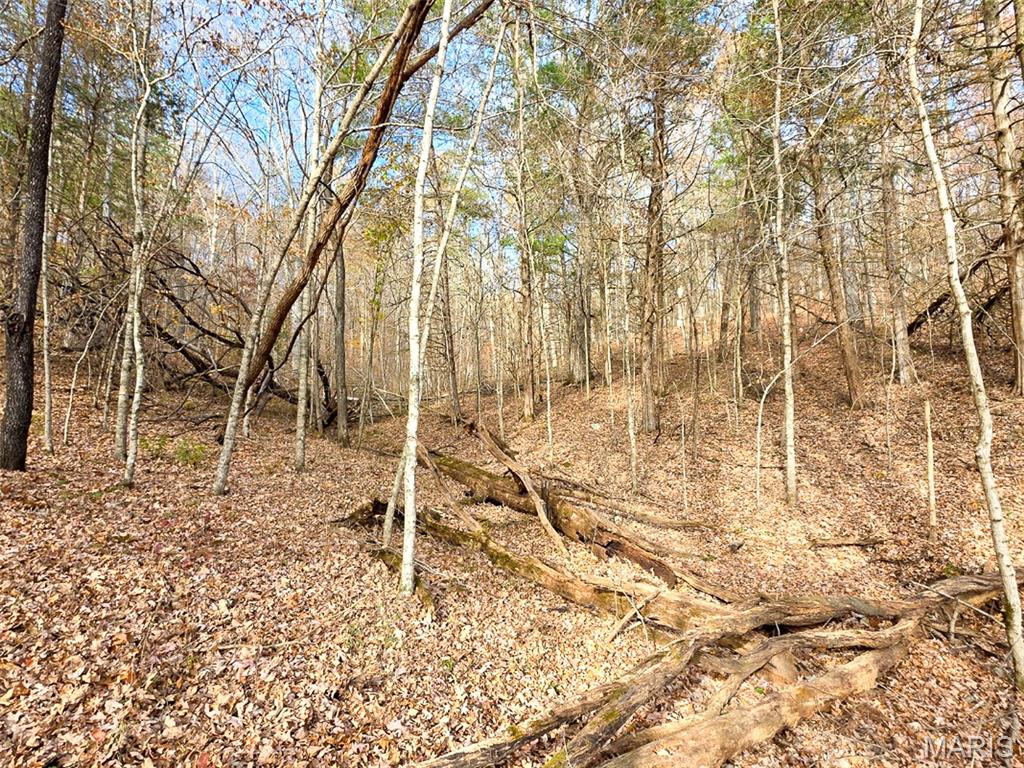 Off Madison 416 Property Photo 18