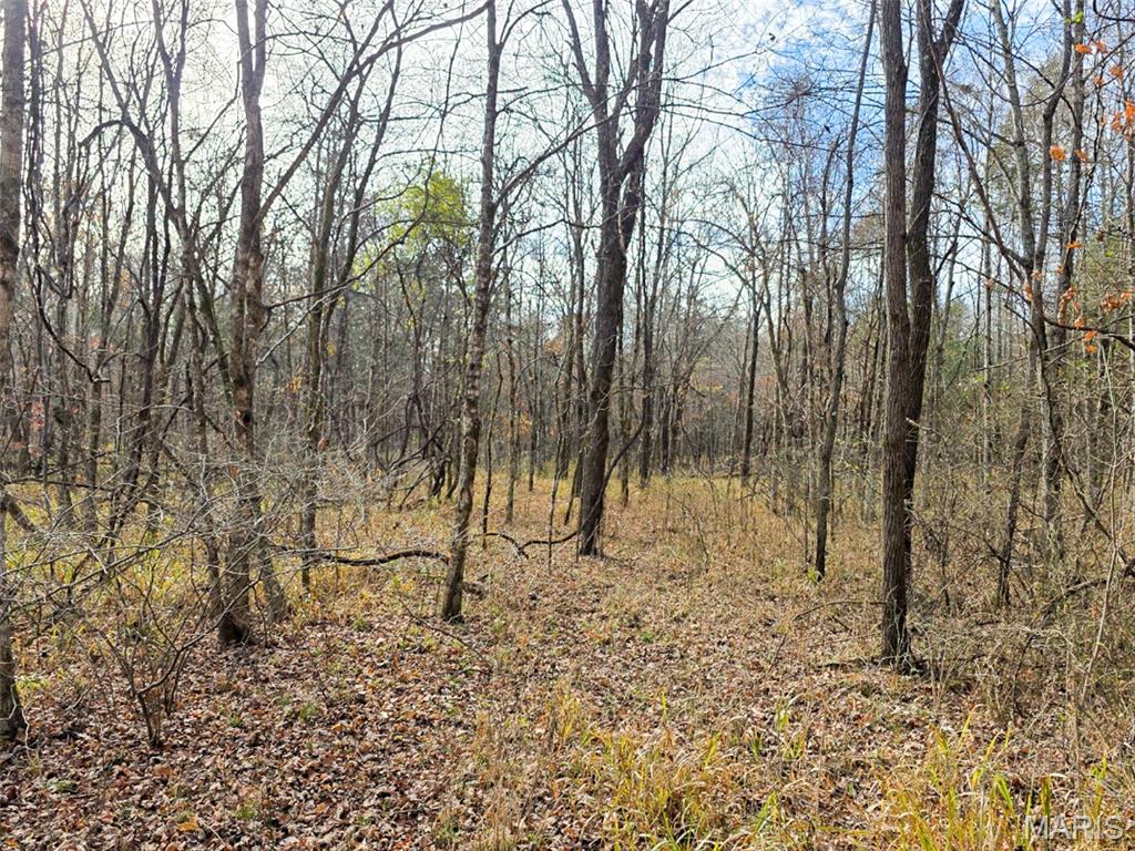 Off Madison 416 Property Photo 19