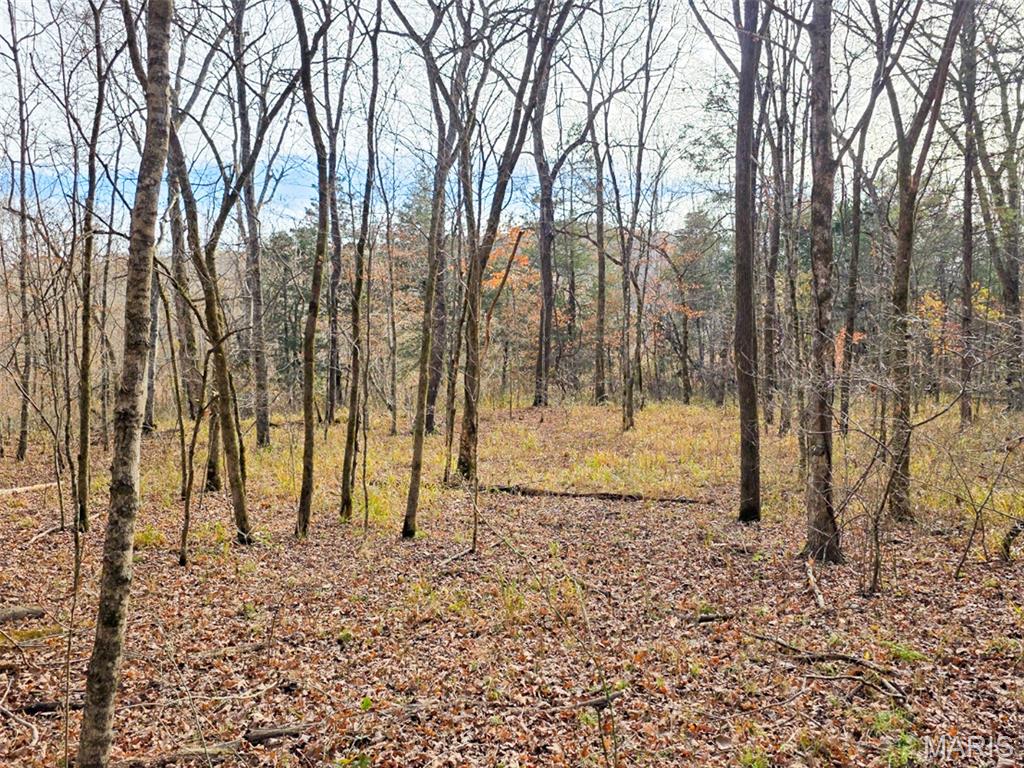 Off Madison 416 Property Photo 20
