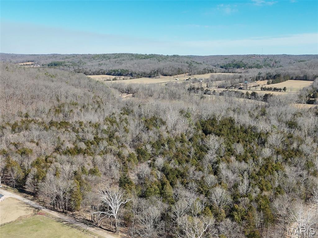 Off Madison 416 Property Photo 22