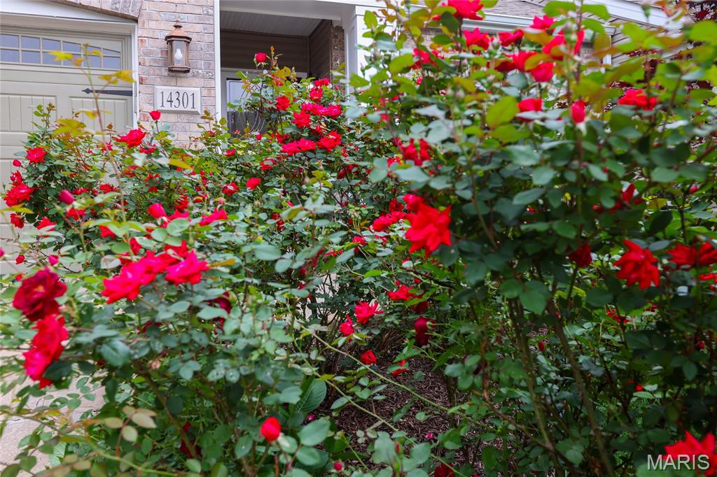 14301 Gatwick Court Property Photo 29
