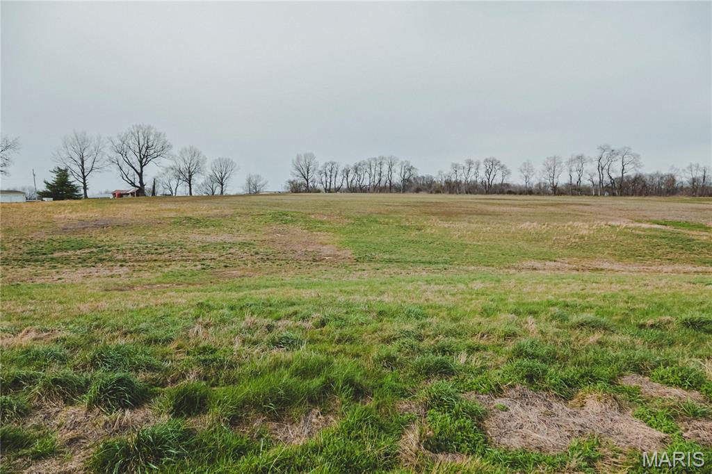 0 County Road 260 Property Photo 3