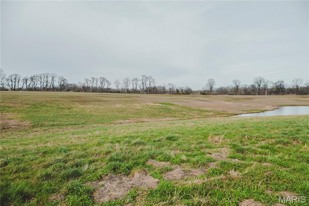 0 County Road 260 Property Photo 4