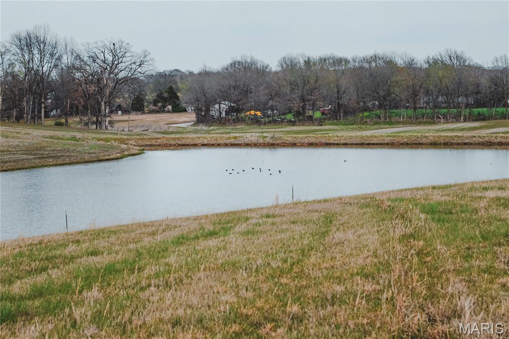 0 County Road 260 Property Photo 5