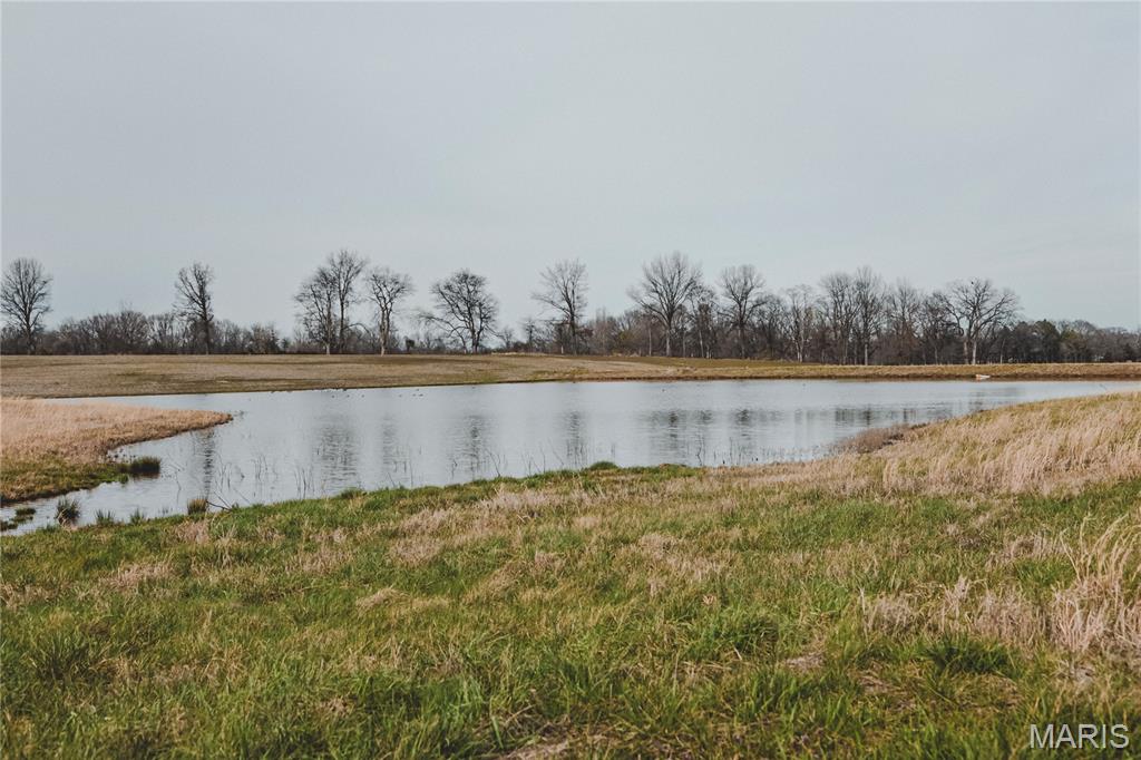 0 County Road 260 Property Photo 9