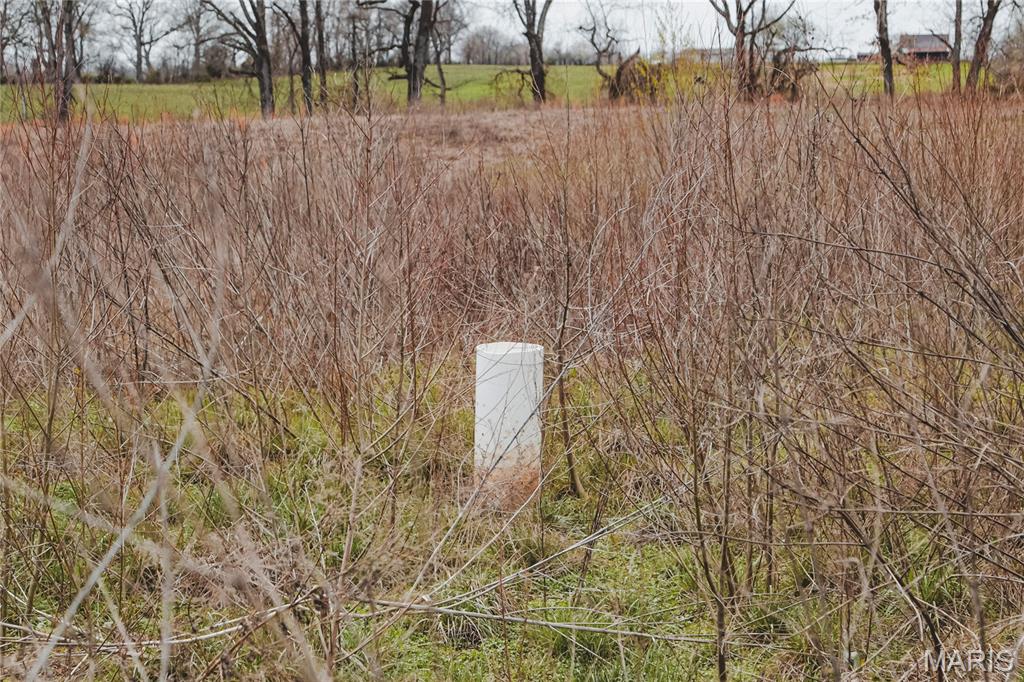 0 County Road 260 Property Photo 17