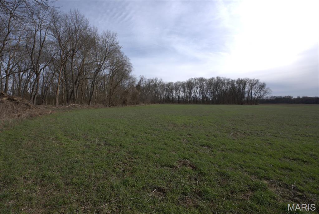 000 South Fork Rd. Property Photo 8
