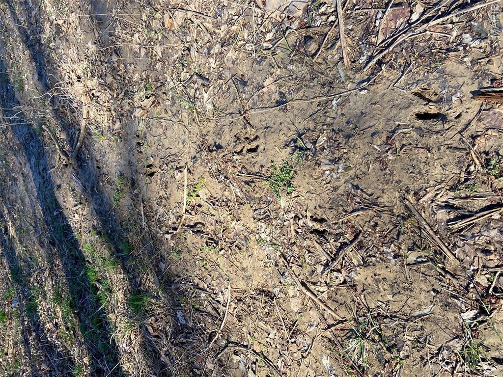 000 South Fork Rd. Property Photo 10