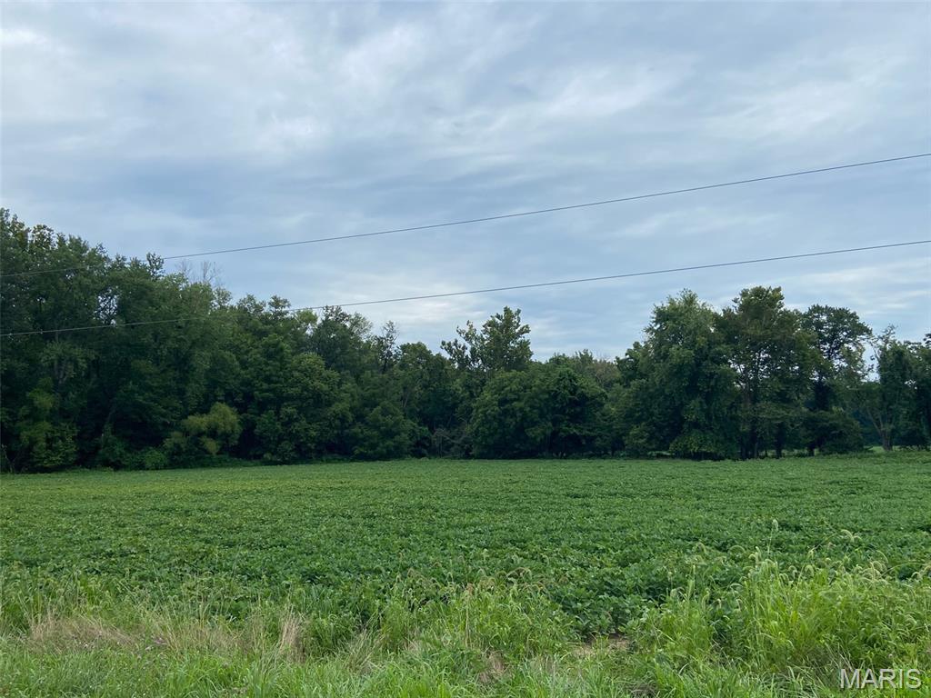 000 South Fork Rd. Property Photo 15