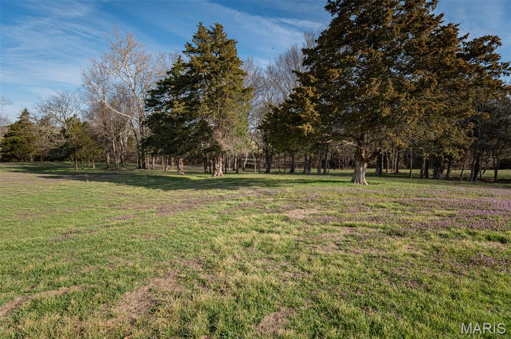 24701 County Road 434 Property Photo 13