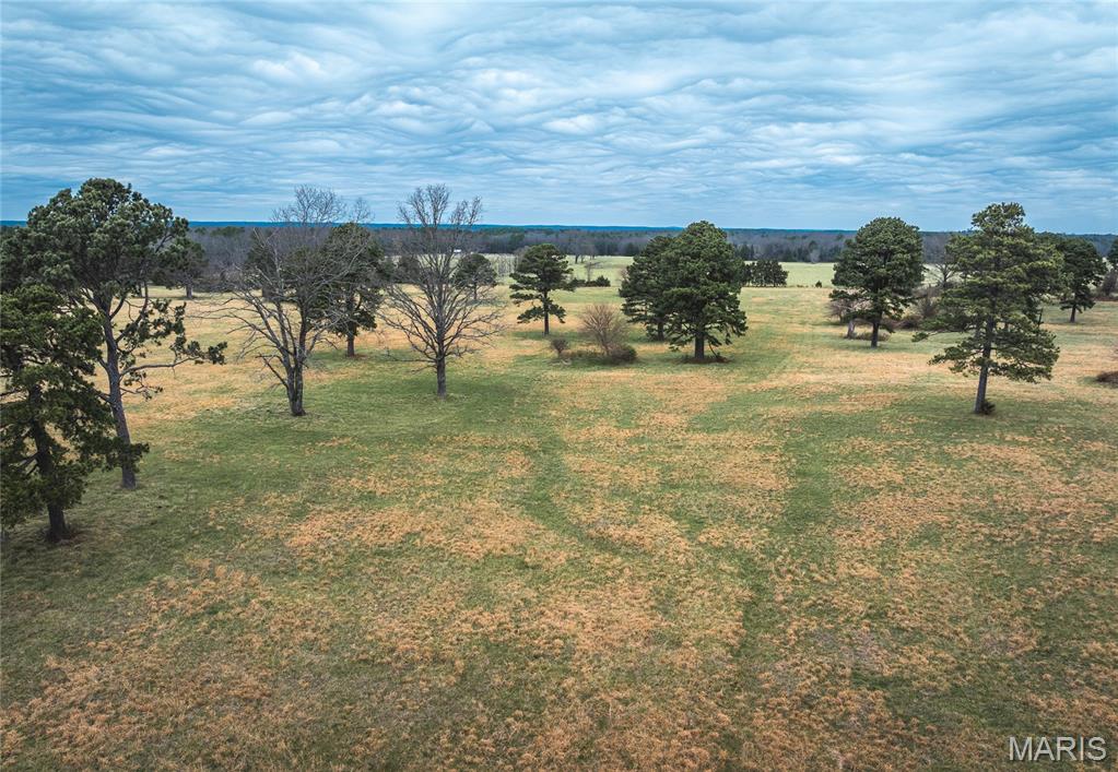 Tbd Dewitt Drive Property Photo 10