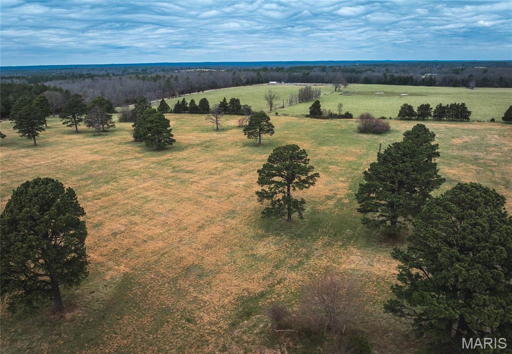 Tbd Dewitt Drive Property Photo 11
