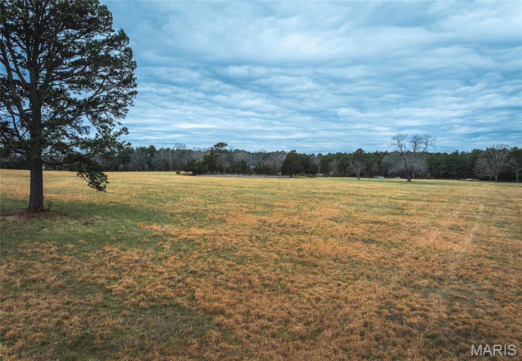 Tbd Dewitt Drive Property Photo 13