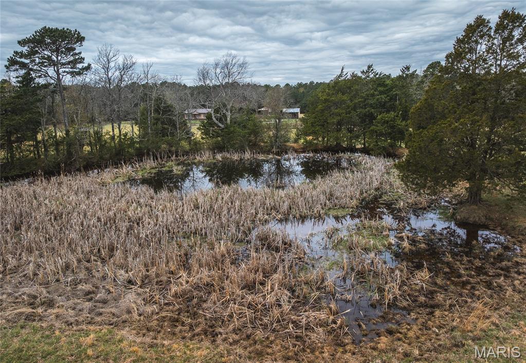 Tbd Dewitt Drive Property Photo 15