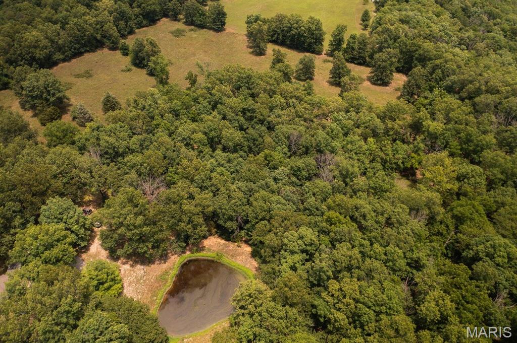 10477 M- Highway Am Property Photo 38