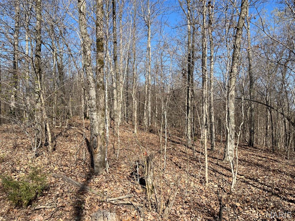 Tract #1 Lake Road Property Photo 3