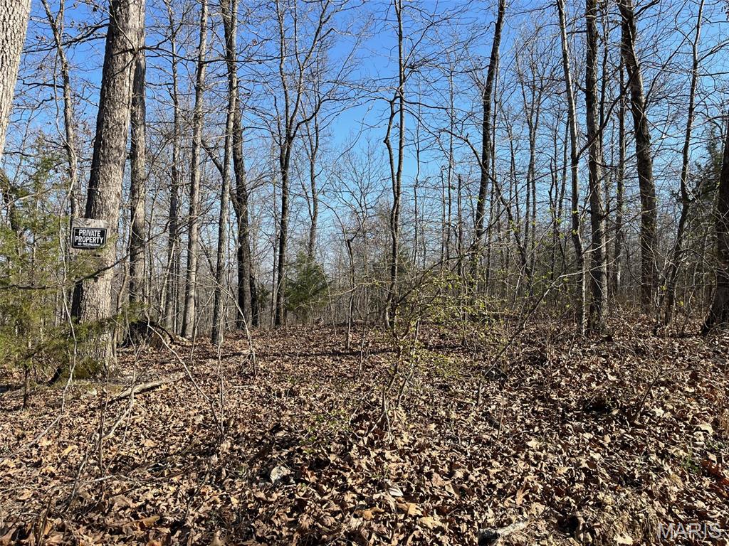 Tract #1 Lake Road Property Photo 4