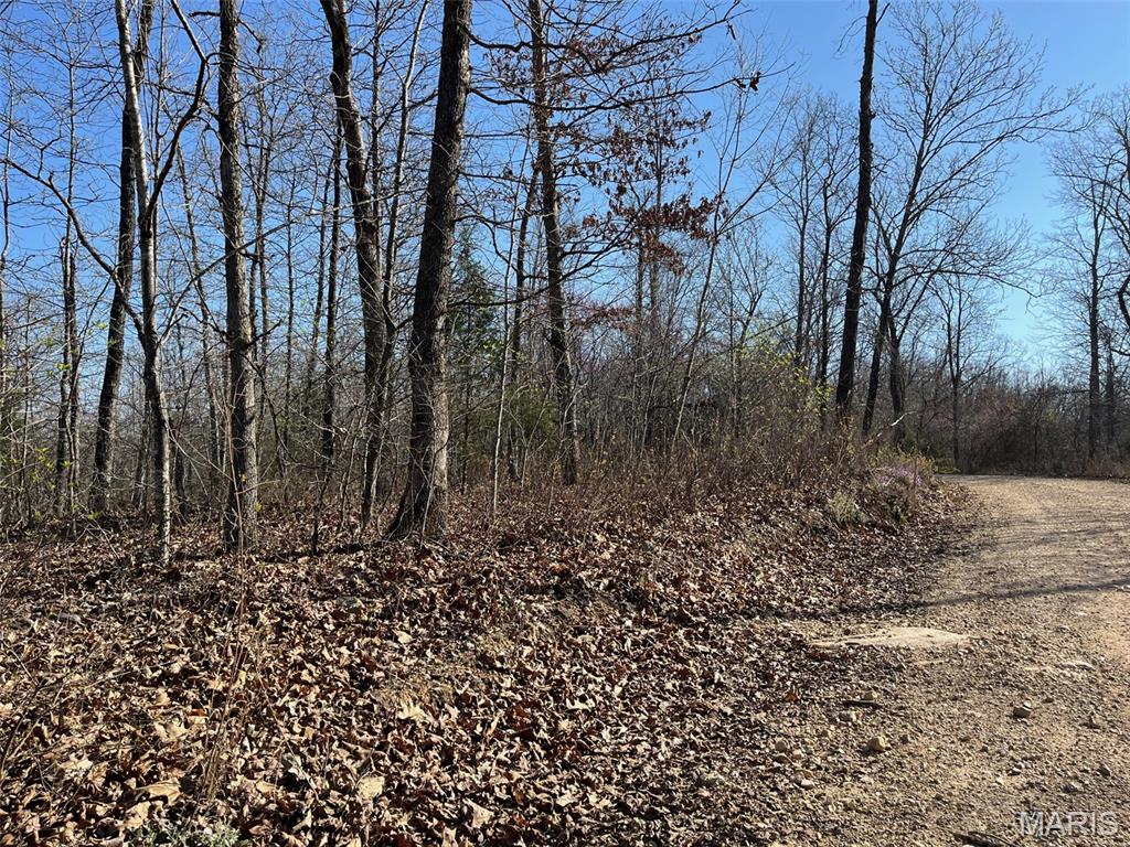 Tract #1 Lake Road Property Photo 5
