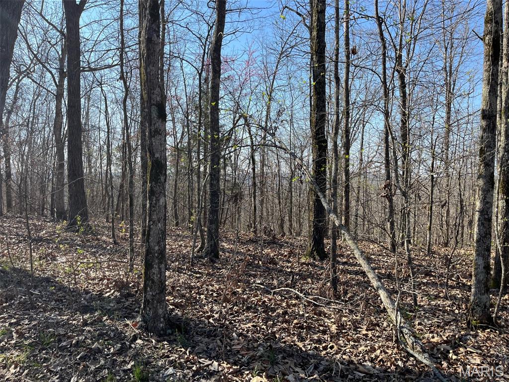 Tract #1 Lake Road Property Photo 6