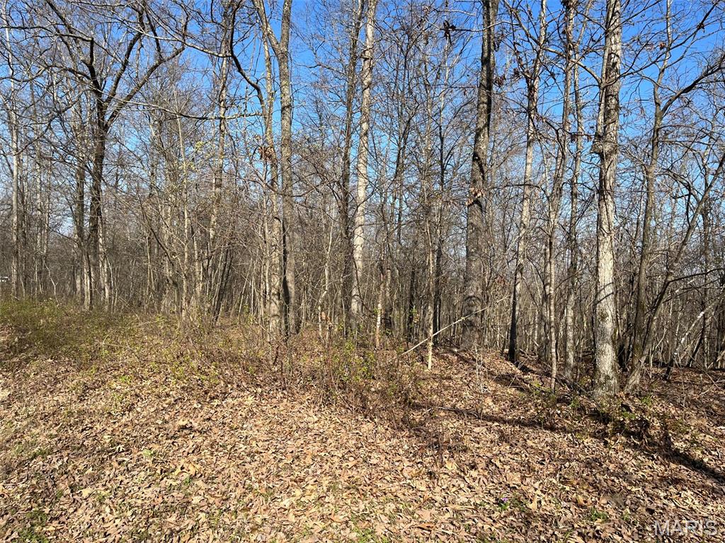 Tract #1 Lake Road Property Photo 7