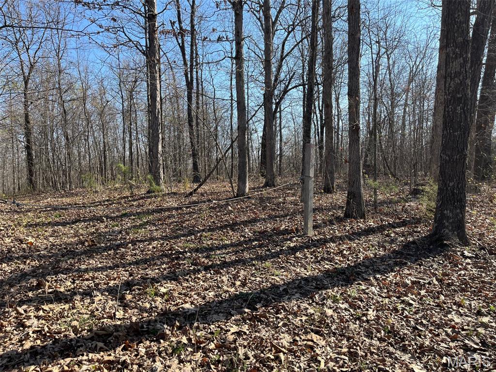Tract #1 Lake Road Property Photo 8