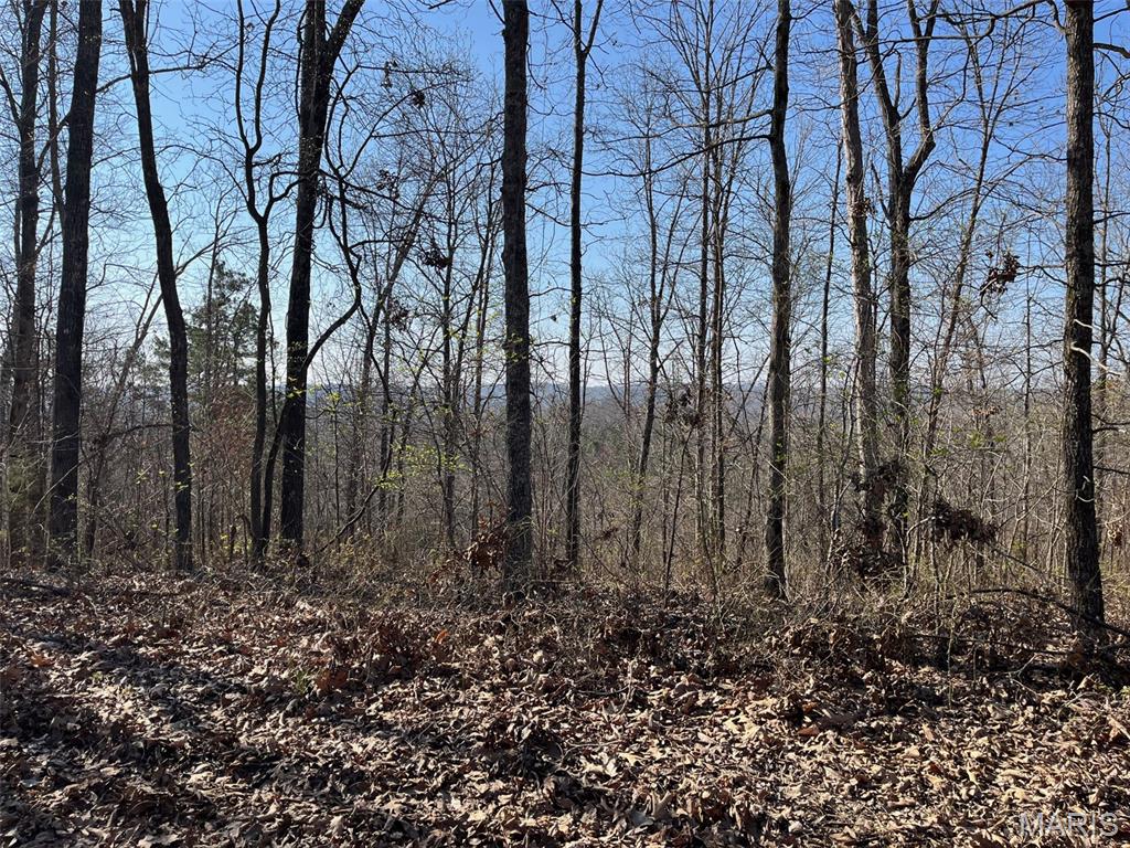 Tract #1 Lake Road Property Photo 9