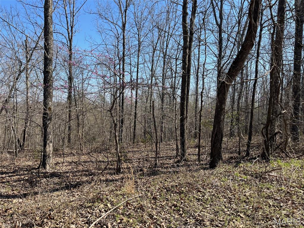Tract #4 Lake Road Property Photo 1