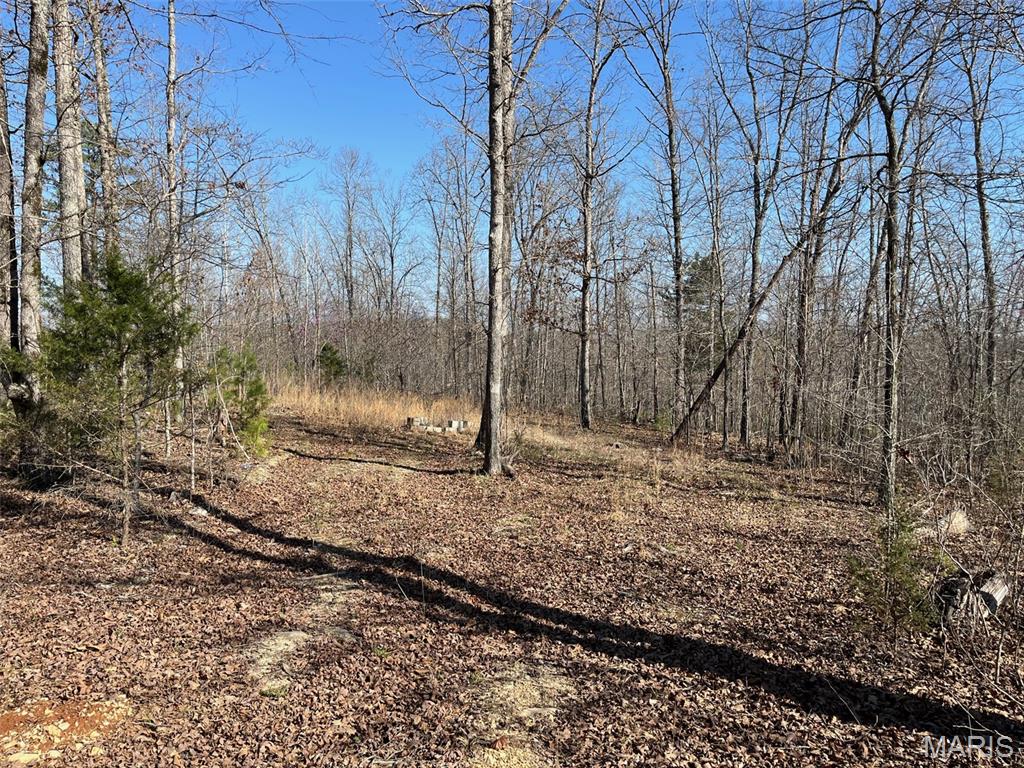 Tract #4 Lake Road Property Photo 3