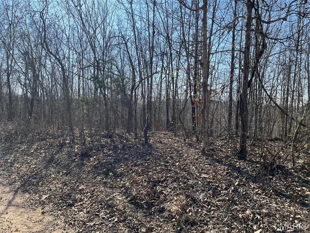 Tract #4 Lake Road Property Photo 4
