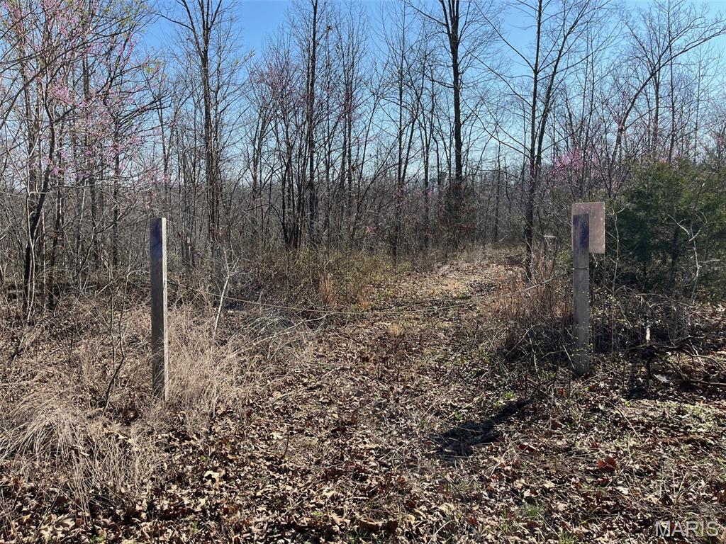 Tract #4 Lake Road Property Photo 6