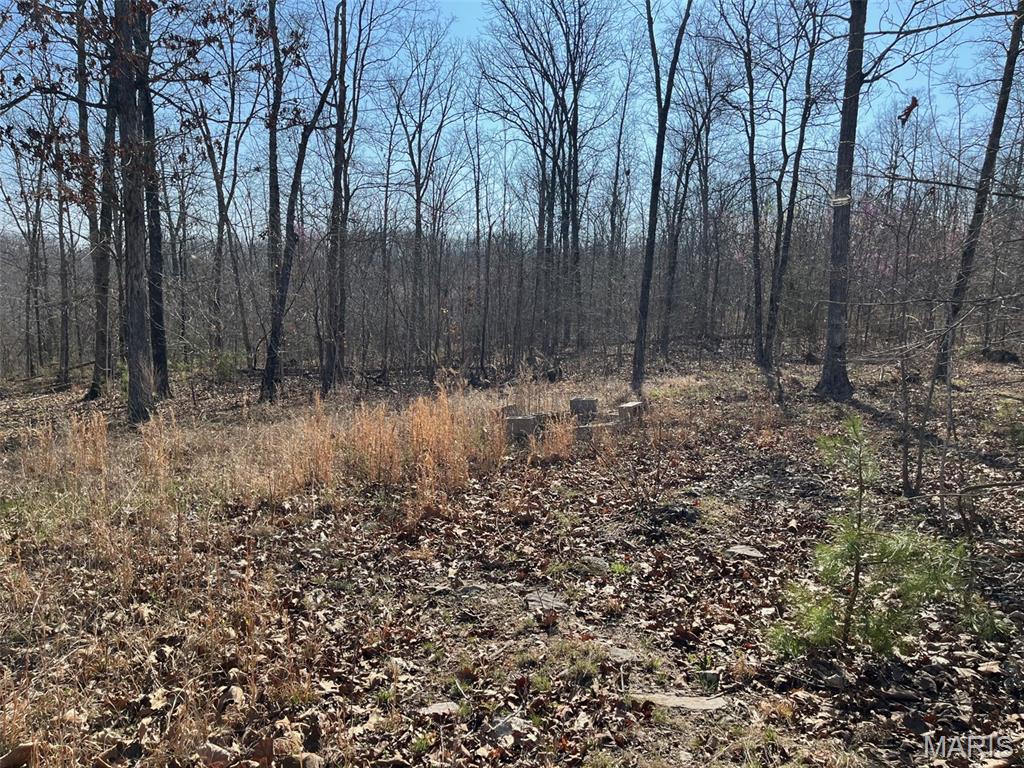 Tract #4 Lake Road Property Photo 7