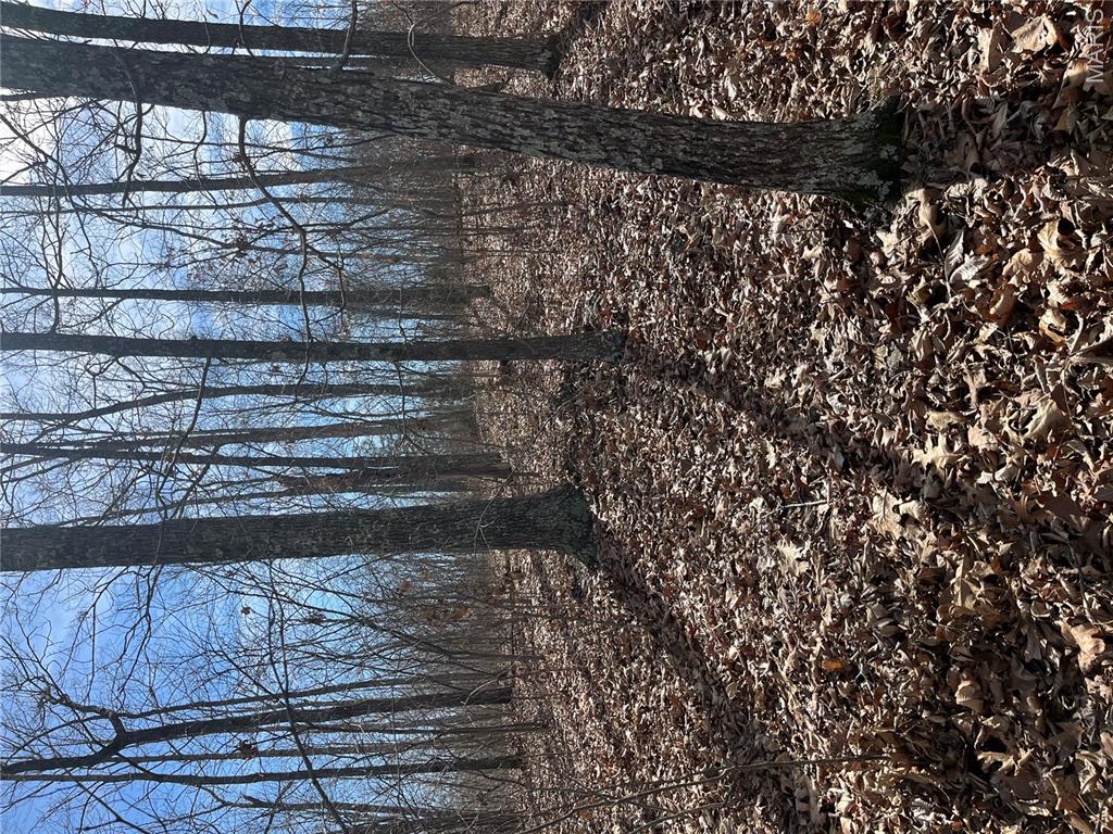 Tract #4 Lake Road Property Photo 8