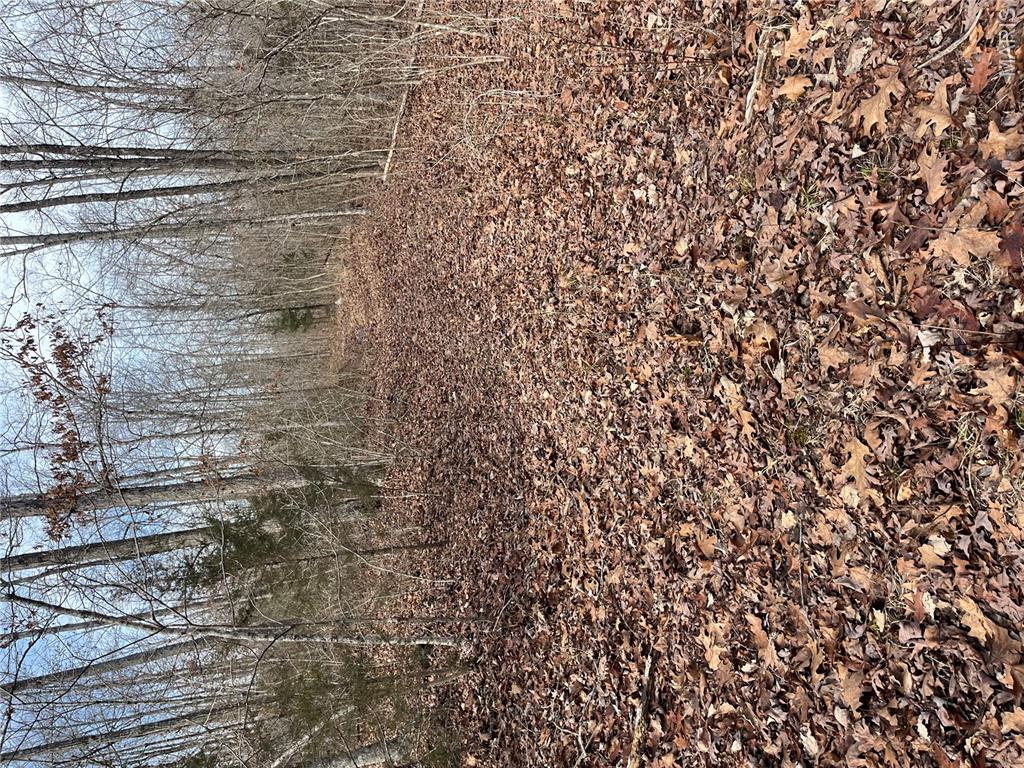 Tract #4 Lake Road Property Photo 9