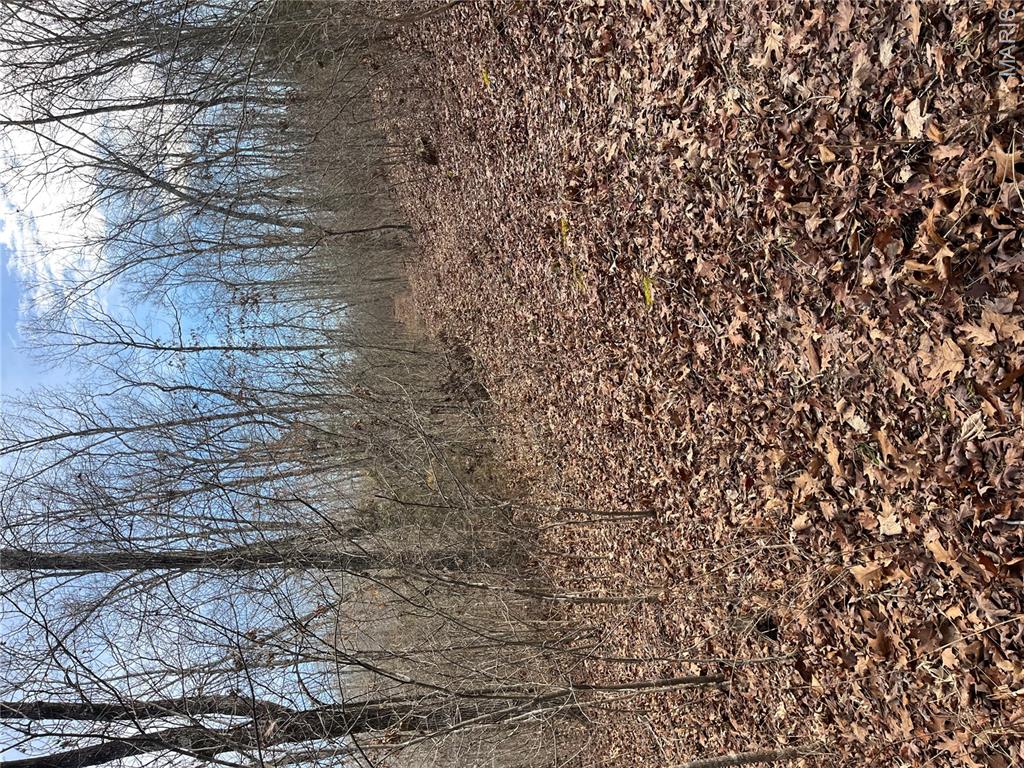 Tract #4 Lake Road Property Photo 10
