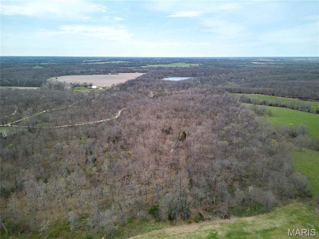 0 Pond Bottom Road Property Photo 15